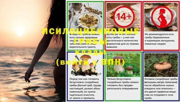 индика Белоозёрский