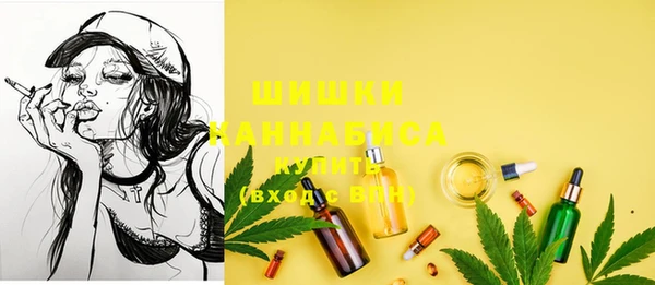 индика Белоозёрский