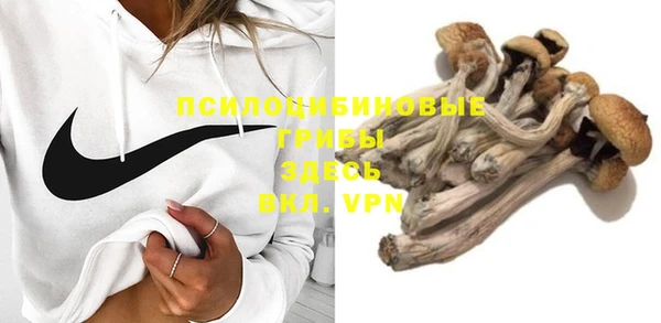 индика Белоозёрский