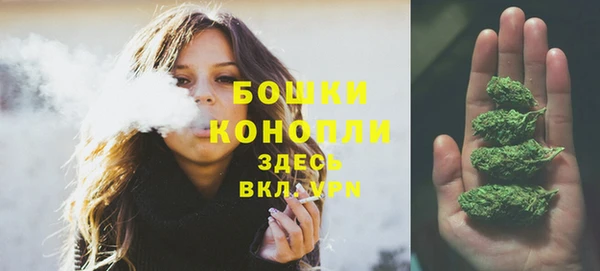 индика Белоозёрский