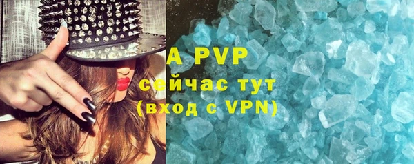 Альфа ПВП Белокуриха