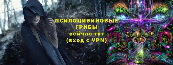 Альфа ПВП Белокуриха