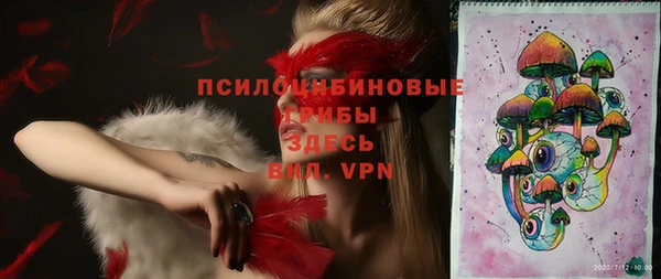 Альфа ПВП Белокуриха